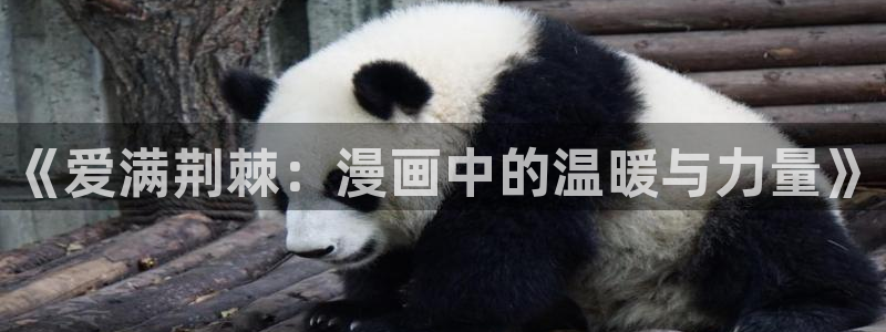 喵上漫画.：《爱满荆棘：漫画中的温暖与力量》