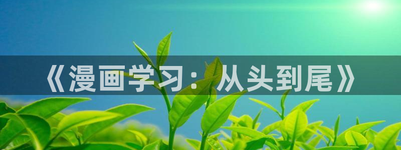 喵趣漫画(2026复活版)：《漫画学习：从头到尾》