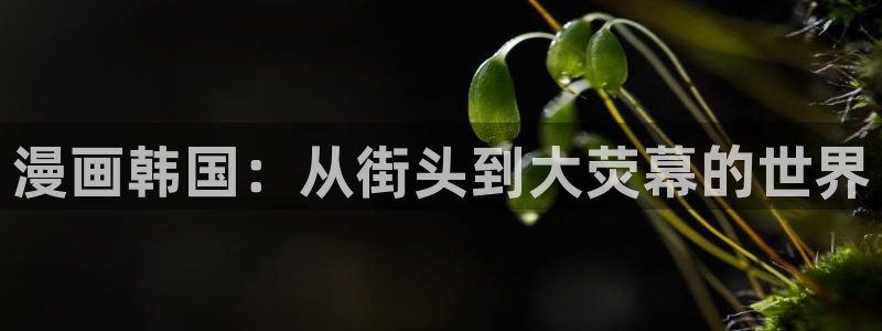 喵趣漫画安装：漫画韩国：从街头到大荧幕的世界