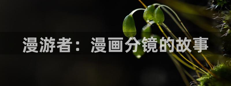 趣漫漫画：漫游者：漫画分镜的故事