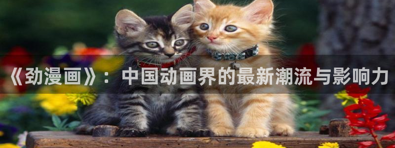 喵上漫画,：《劲漫画》：中国动画界的最新潮流与影响力