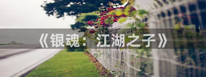 喵趣漫画下载app官方：《银魂：江湖之子》