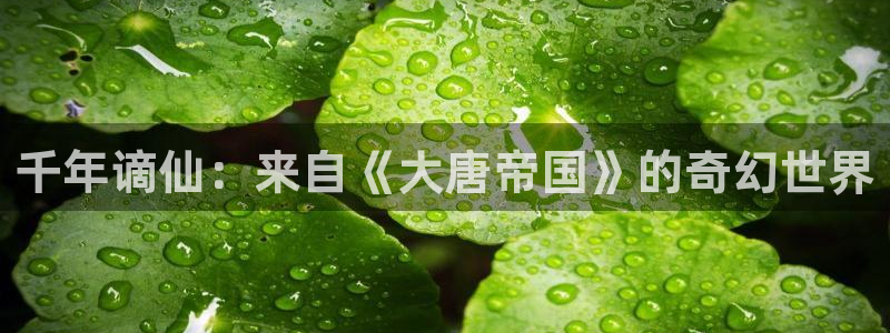 喵趣漫画怎么打不开了：千年谪仙：来自《大唐帝国》的奇幻世界